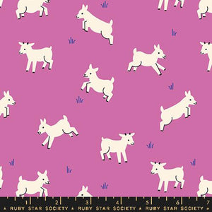 Baby Goats in Heiotrope for Animal Animal by Ruby Star Society