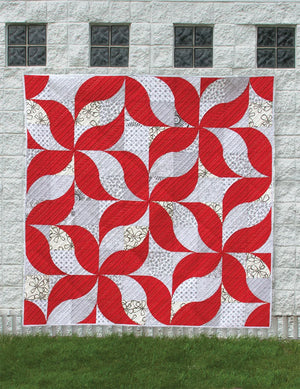 One Wonderful Curve 12 Contemporary Quilts - Sew Kind of Wonderul