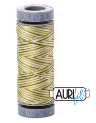 Aurifil Cotton Thread — Colour 4653 Spring Prairie Variegated